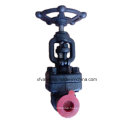 API602 Forged Carbon Steel A105 Thread End NPT Globe Valve